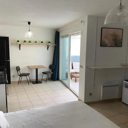 In Cannes, Terrace, Close To The Apartamento